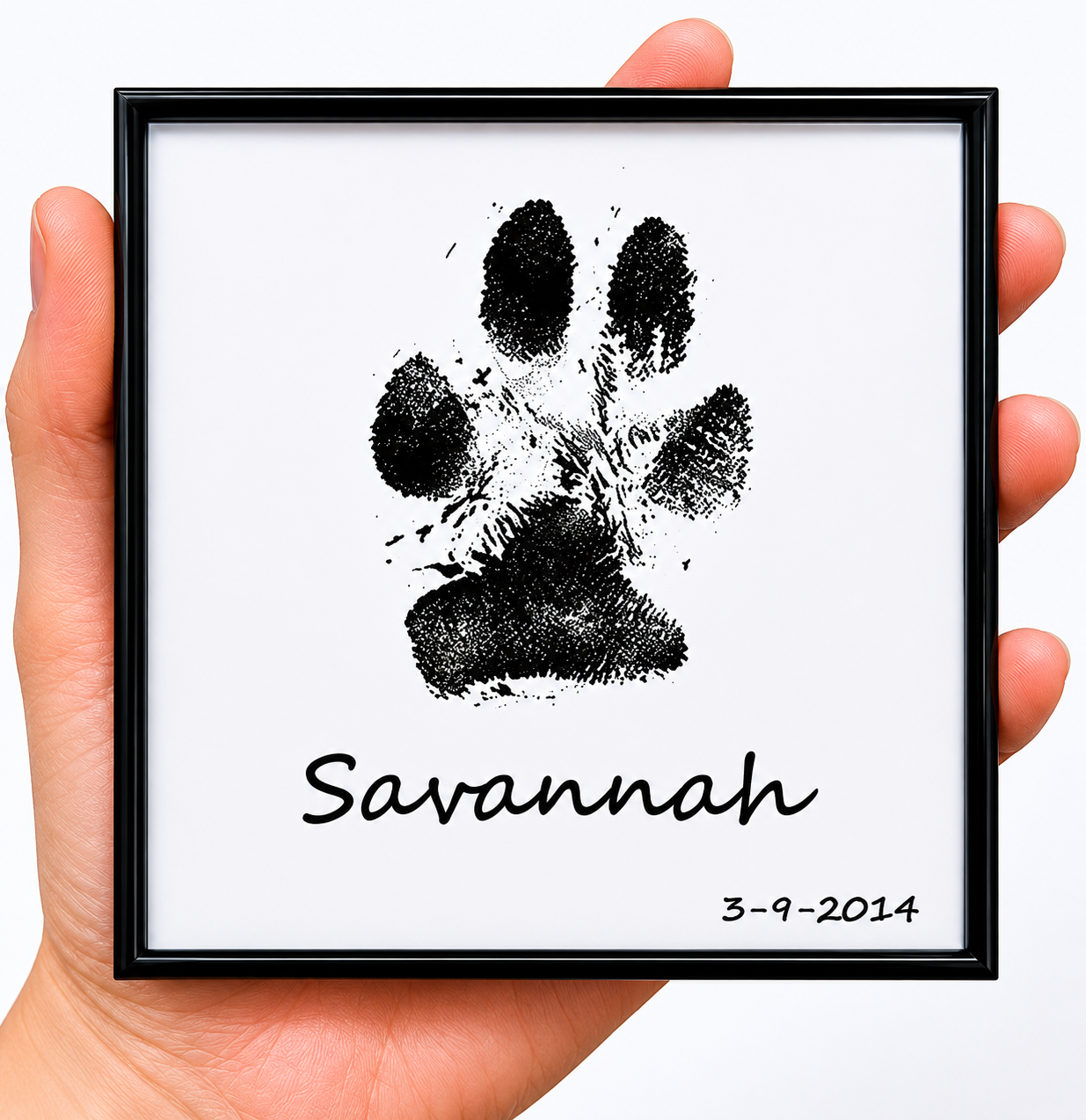 Pet Paw Print Ink Kit