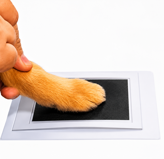 Pet Paw Print Ink Kit