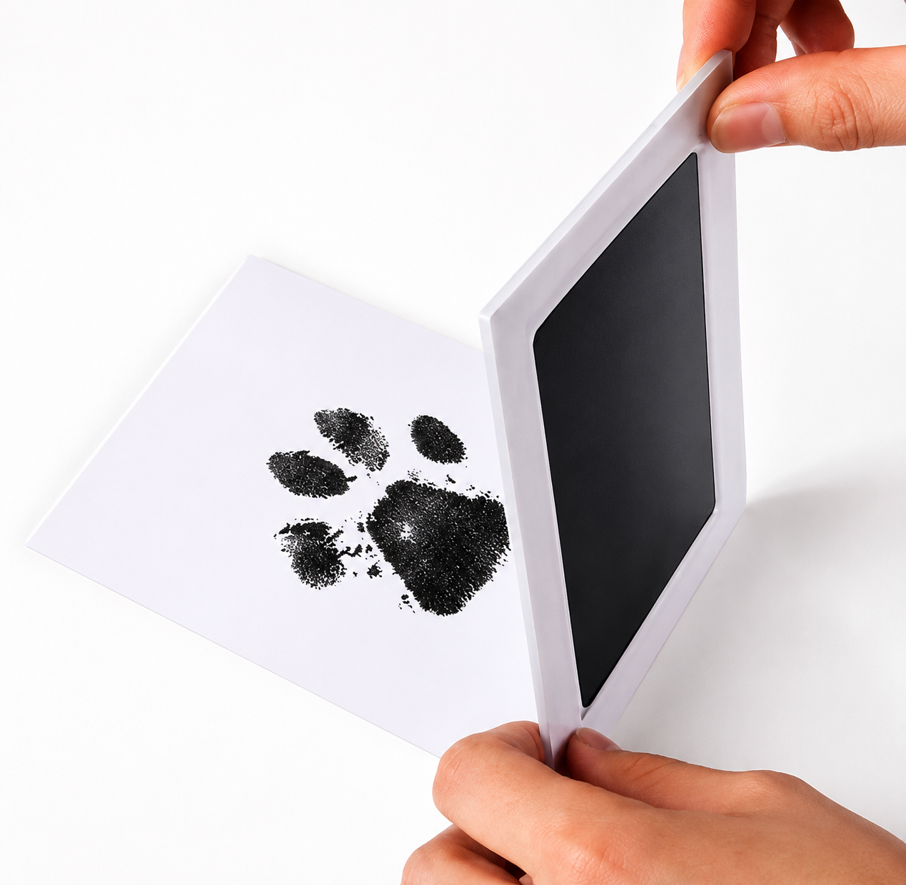 Pet Paw Print Ink Kit
