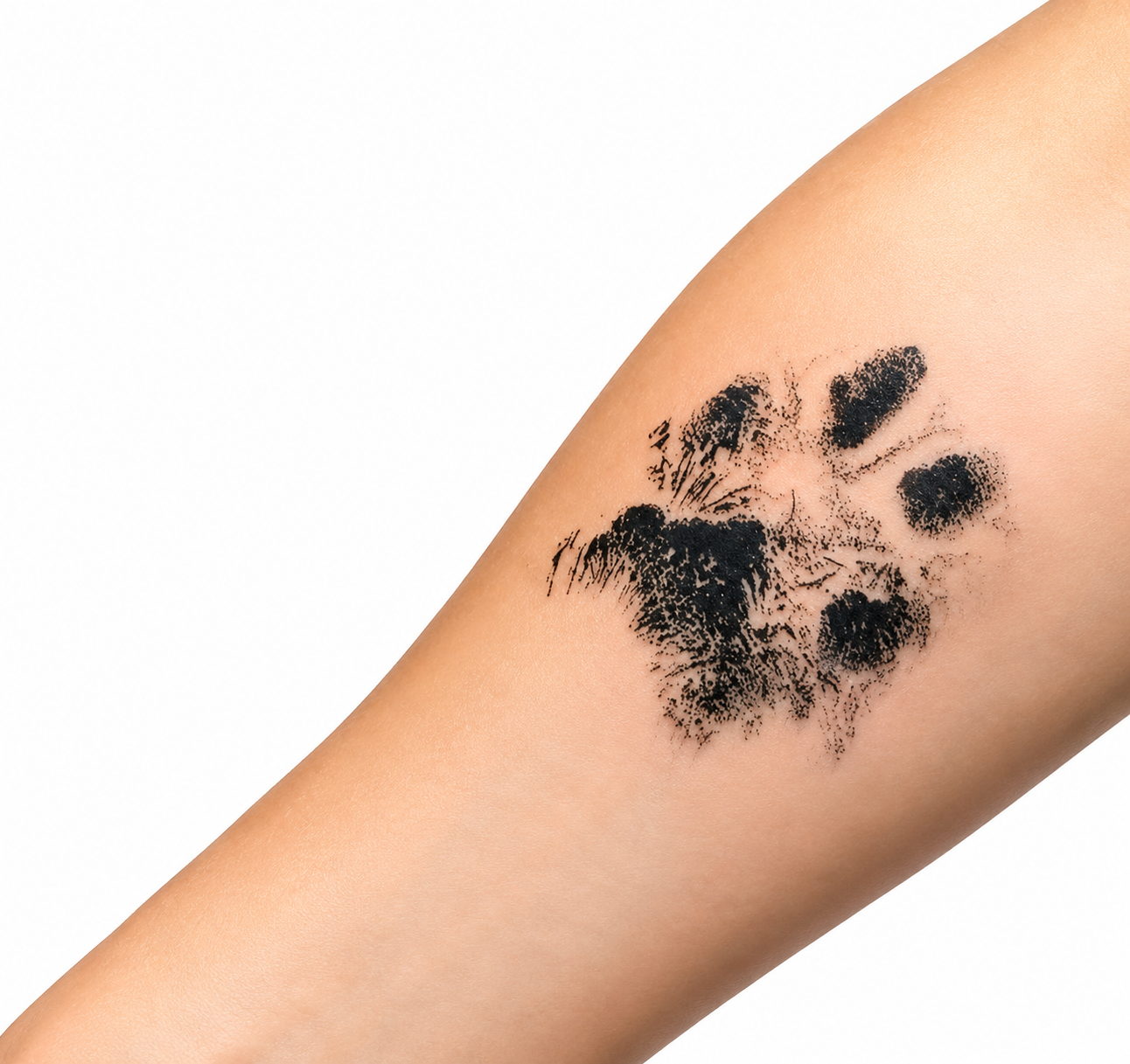 Pet Paw Print Ink Kit