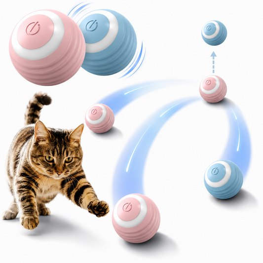 Interactive Self-Moving Cat Ball