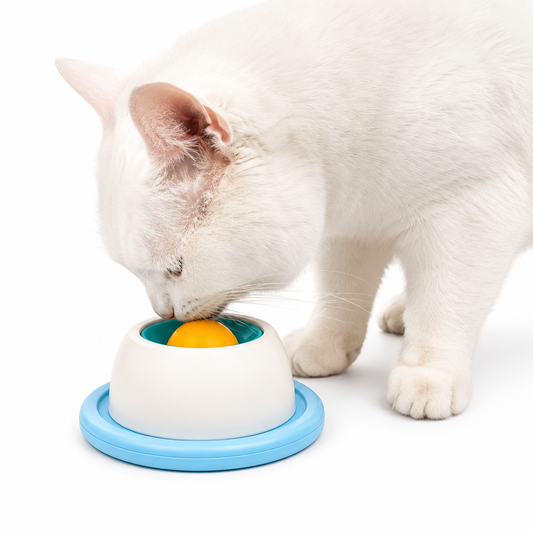 Interactive Slow Lick Bowl for Dogs & Cats